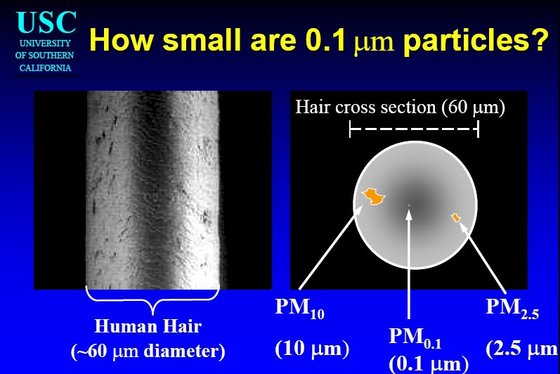 Ryc. 1 Porównanie wielkości cząstek pyłów do średnicy ludzkiego włosa